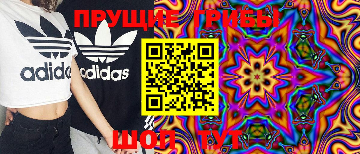 Псилоцибиновые грибы Psilocybine cubensis  Вход с VPN  Юрга 